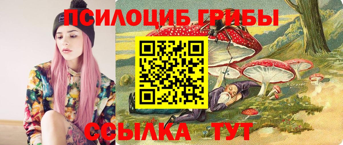 Псилоцибиновые грибы MAGIC MUSHROOMS  Вход с VPN  Псилоцибиновые грибы Cubensis  Чистополь 